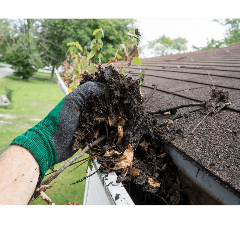 Residential gutter cleaning and maintenance